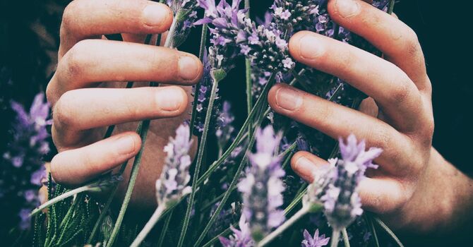 Say Goodbye to Neck & Shoulder Pain with Targeted Massage