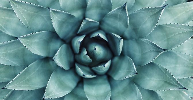 Men’s Health Acupuncture at AHC Wellness Clinic image