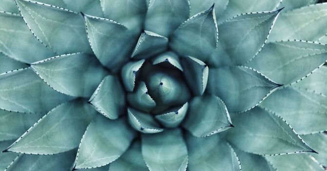 Relieve Lower Back Pain Naturally with Massage Therapy