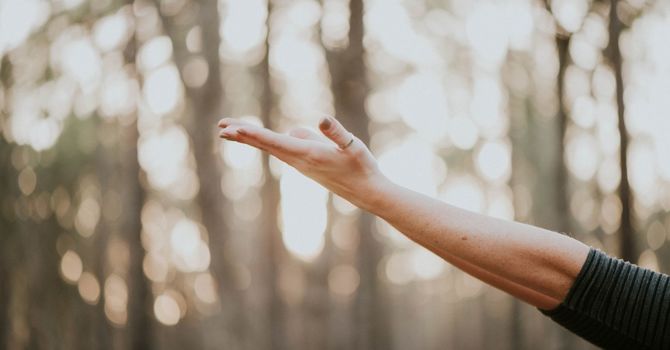 Digestive & Hormonal Balance Massage image