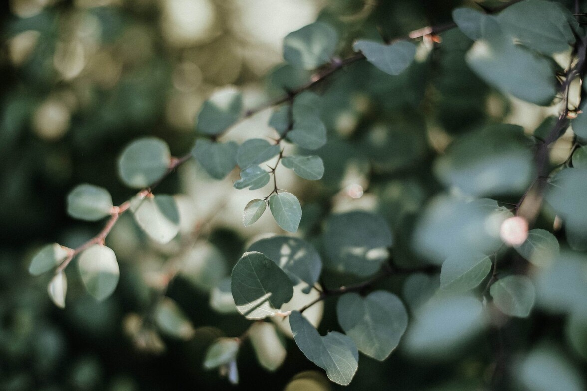 relaxation massage AHC Wellness Clinic