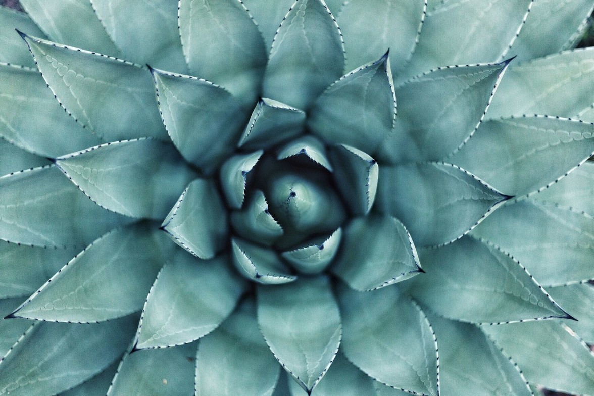 osteopathy-AHC Wellness Clinic Mississauga